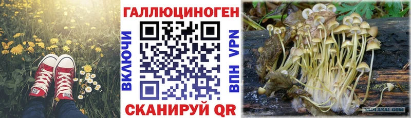 Галлюциногенные грибы ЛСД  Купить  Красный Холм 