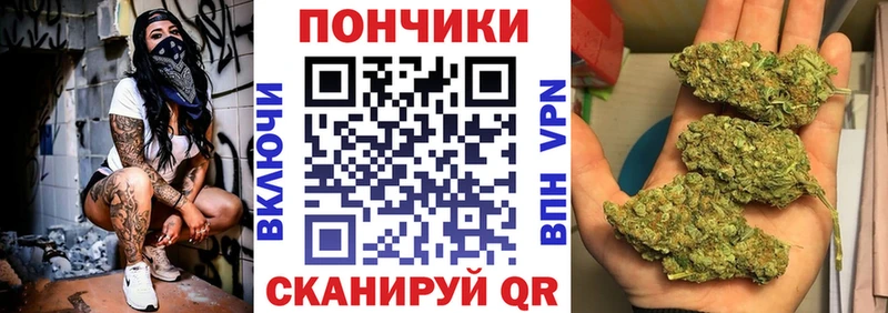 Каннабис план  Купить закладки  Красный Холм 